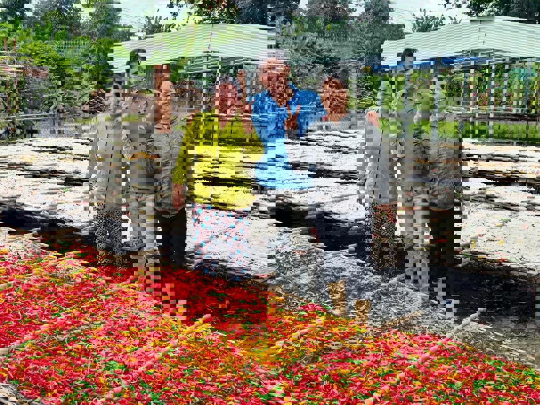 Community Garden Initiative Blossoms in Urban Neighbourhoods